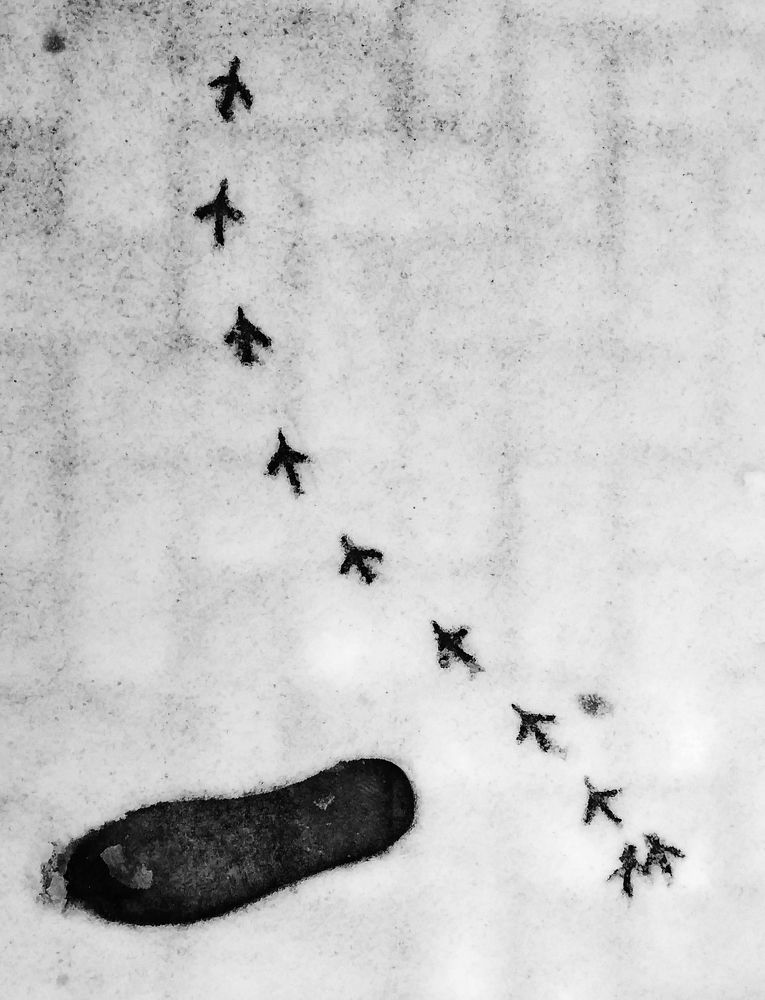 Photograph by Igor Filipenco