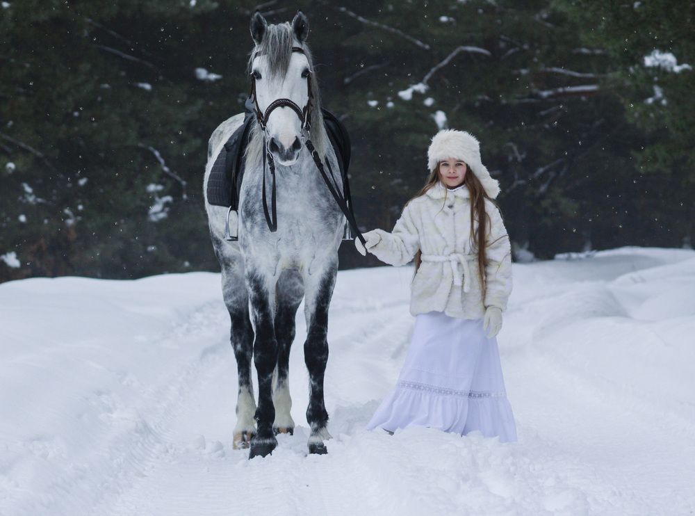 В зимнем лесу