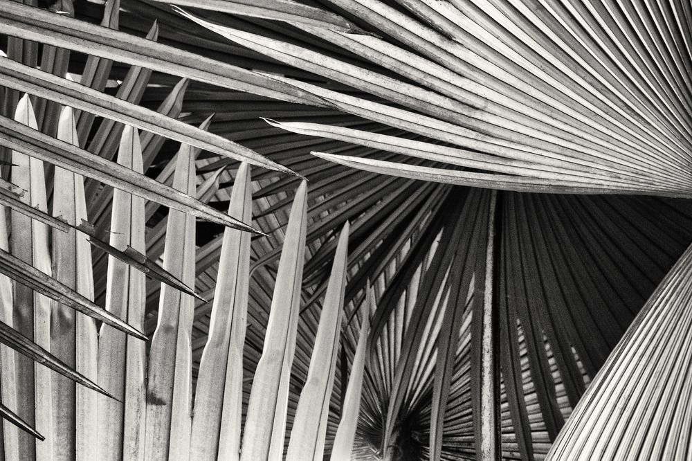 50 оттенков серого