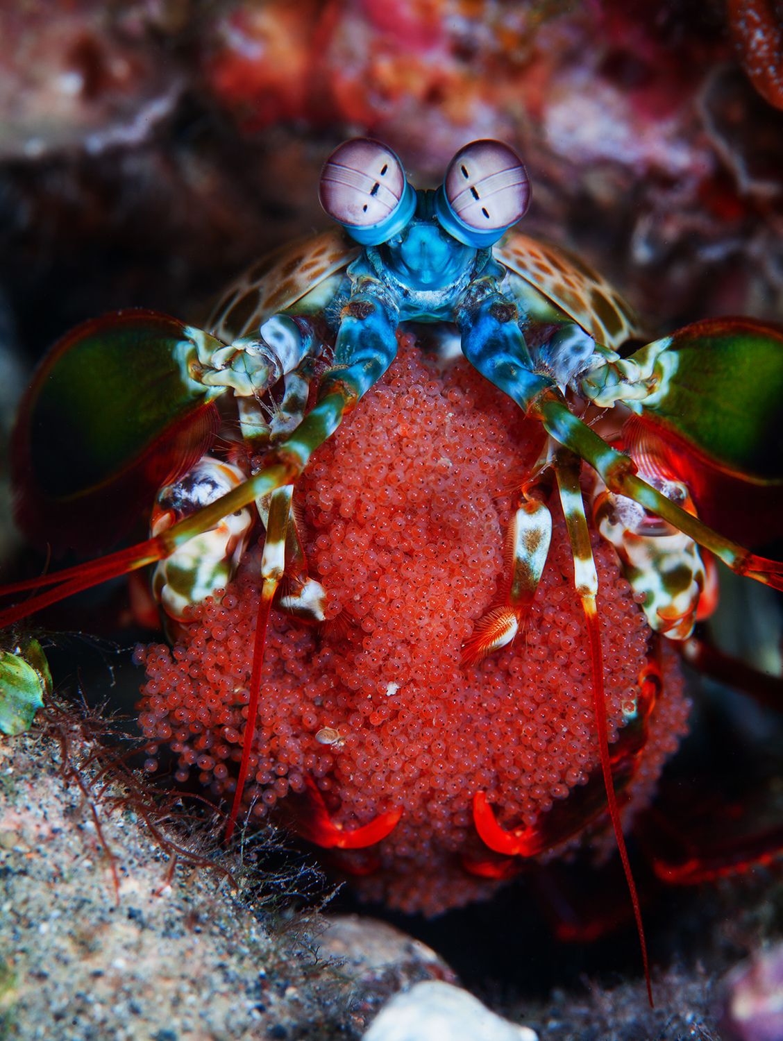 Самое дорогое