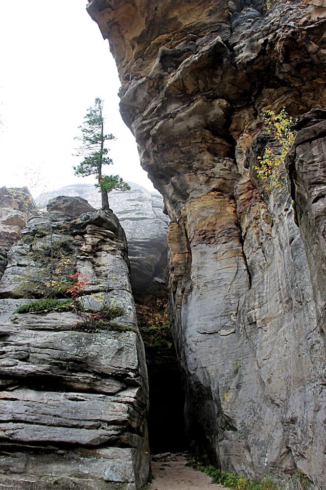 Тяга к жизни