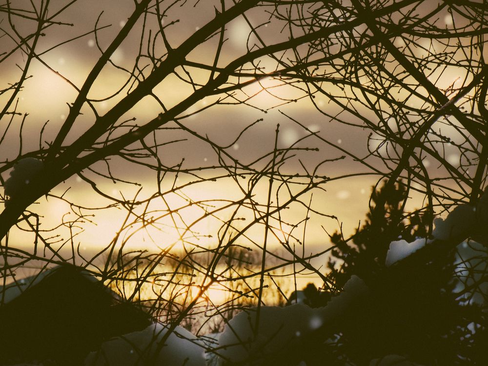 evening curtain