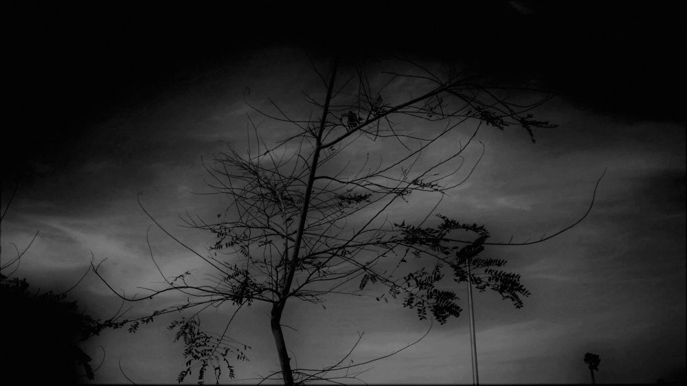 Once upon a time in October