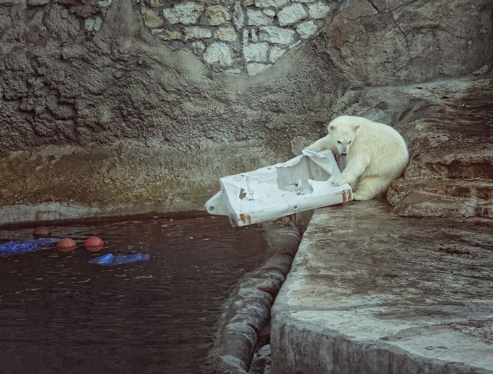 Трудоголик