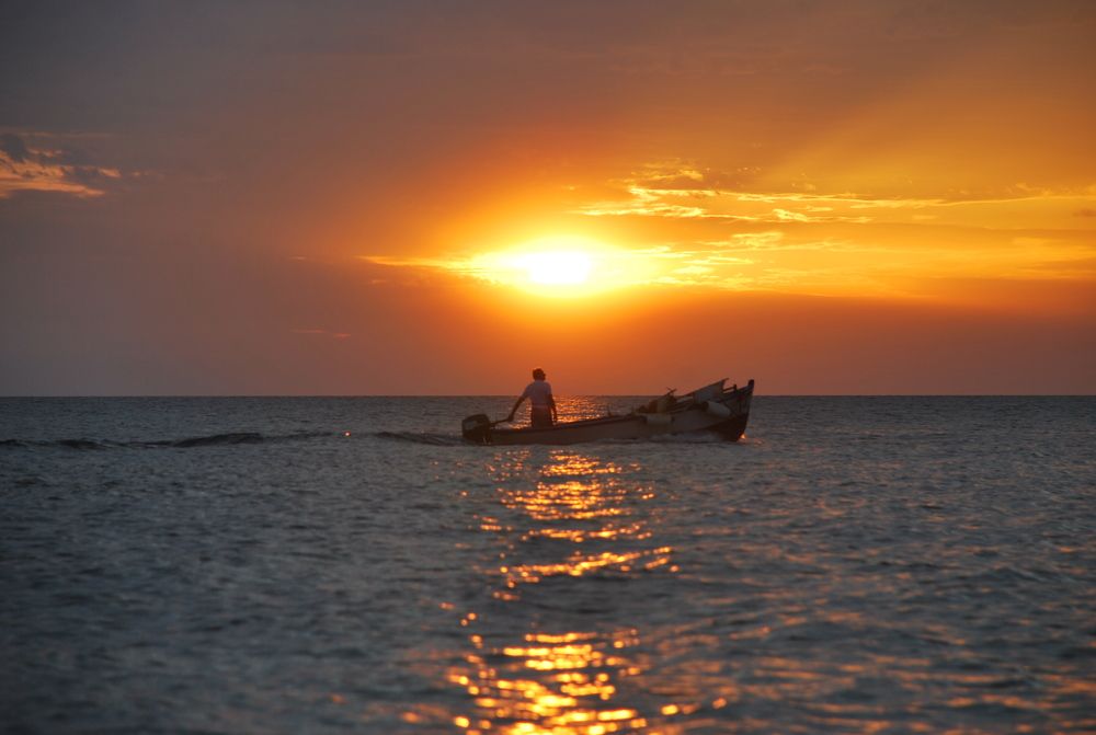 Eye of a Divinity Through a Sunset