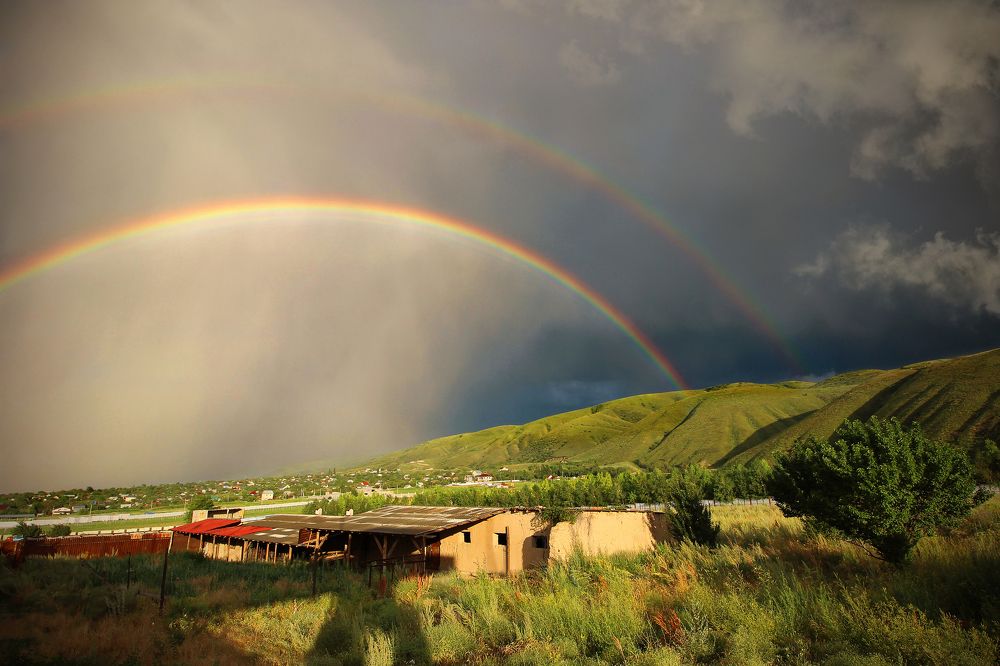 После дождя