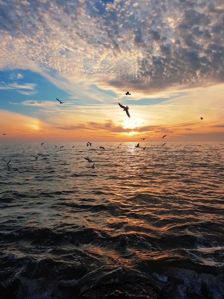 Закат в Бердянске