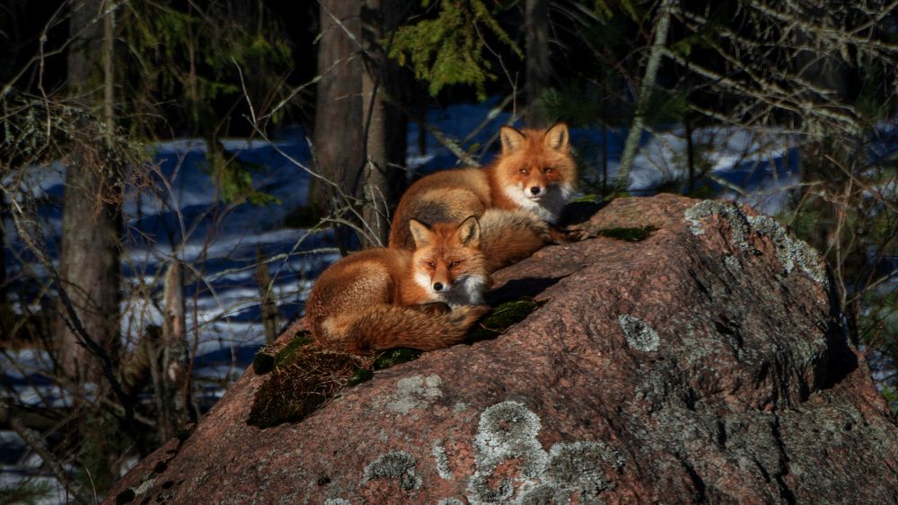 На солнышке