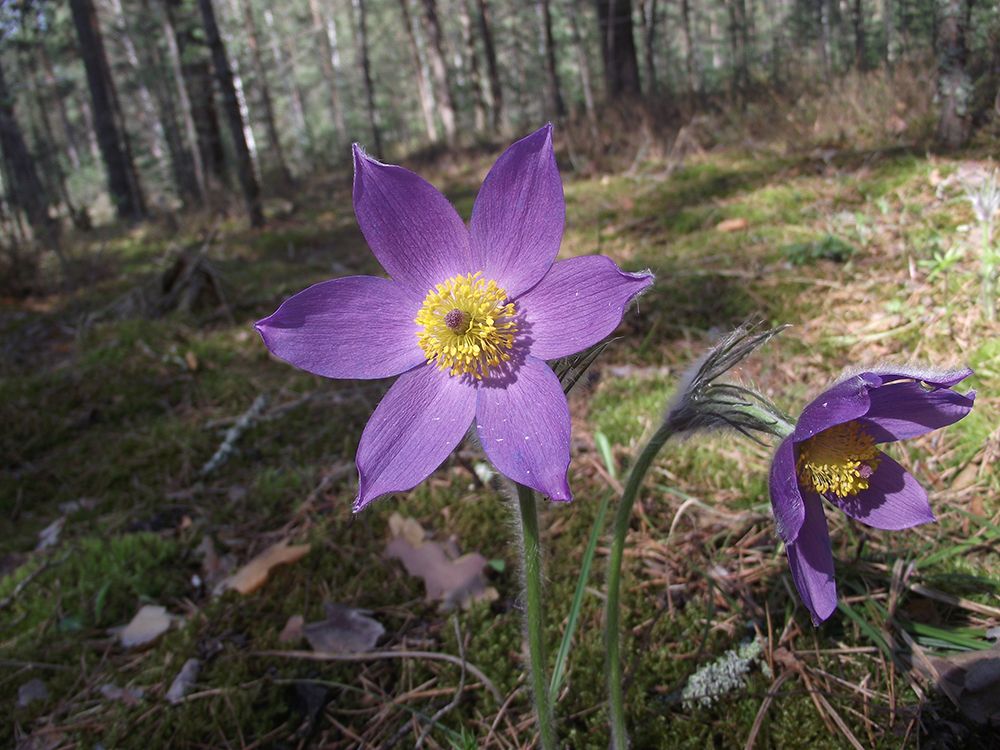 Photograph by Михаил Рассказ