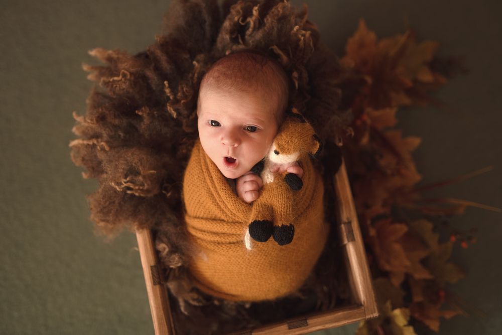 Любопытство