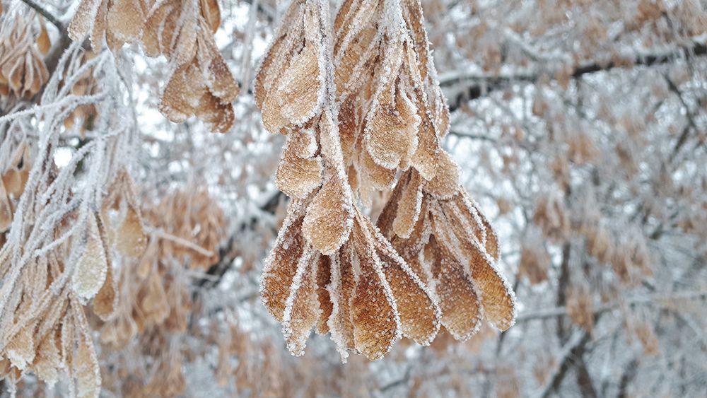 Photograph by Михаил Рассказ