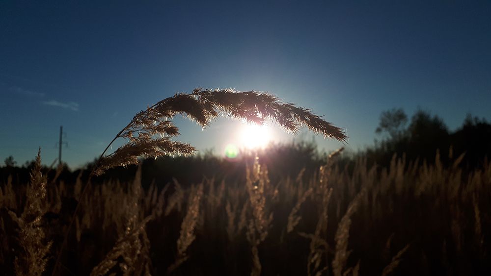 Photograph by Михаил Рассказ