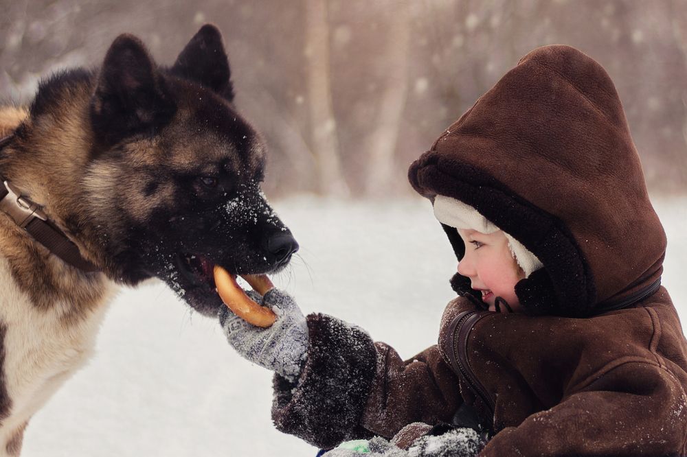 "А ну ка, отними!"