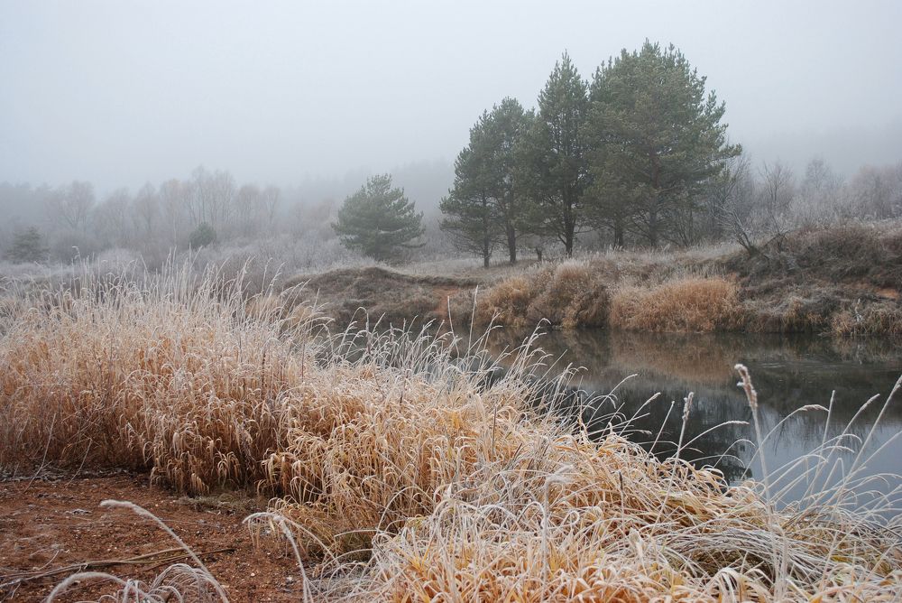 Осенняя соната