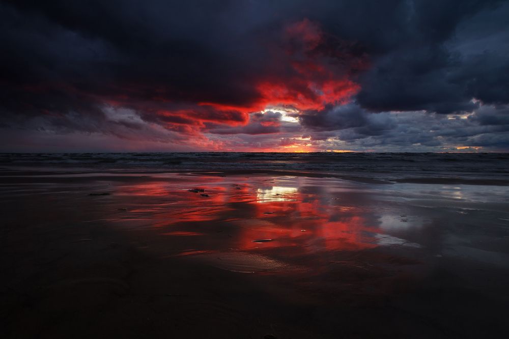 Красное вино