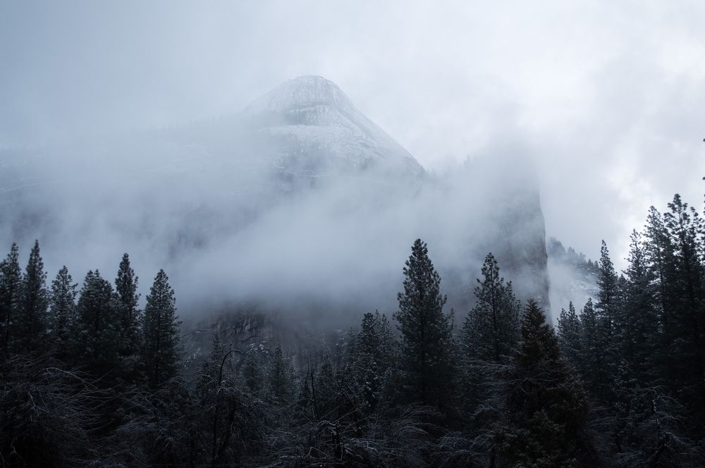 Yosemite Fog