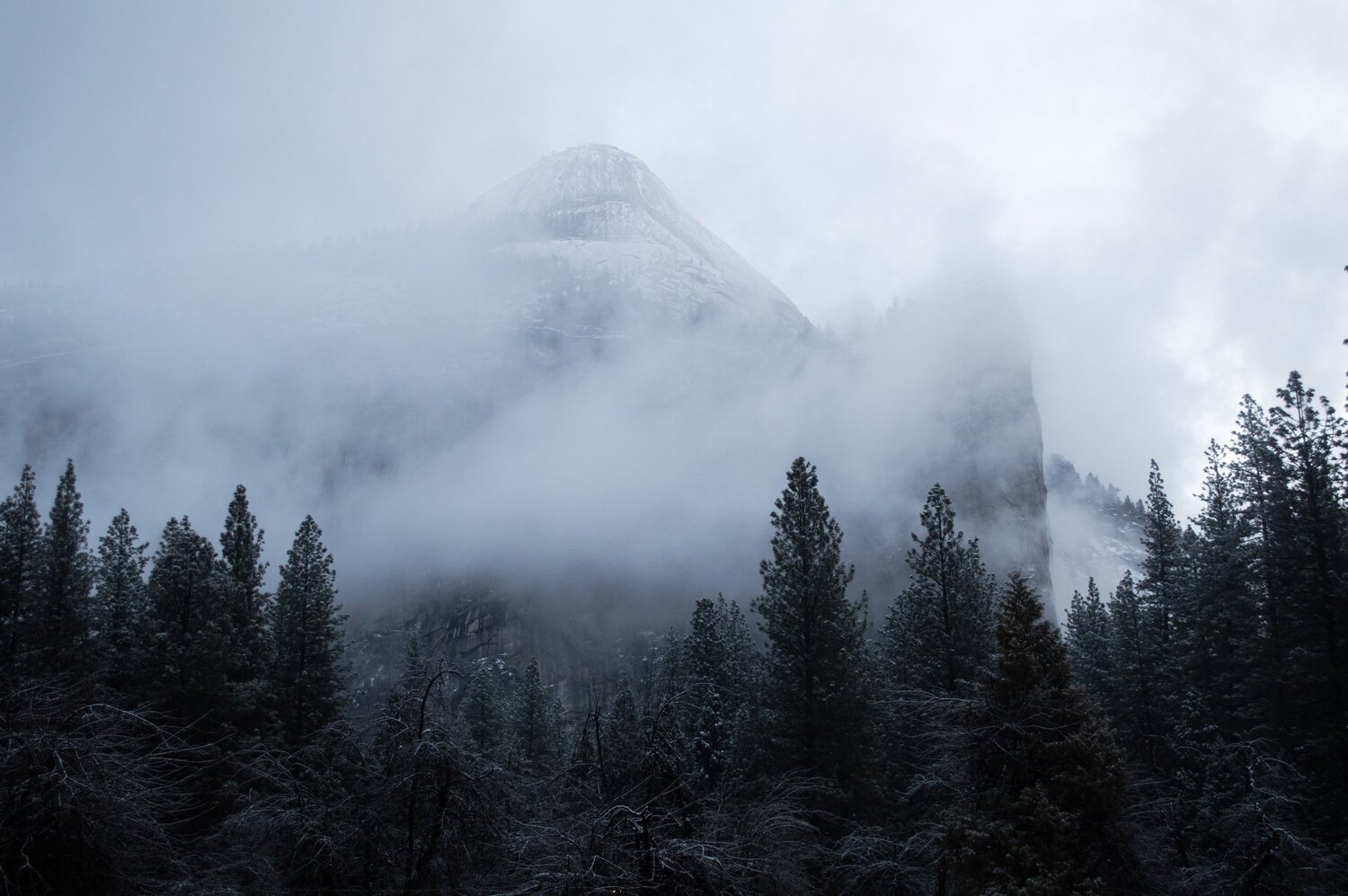 Yosemite Fog