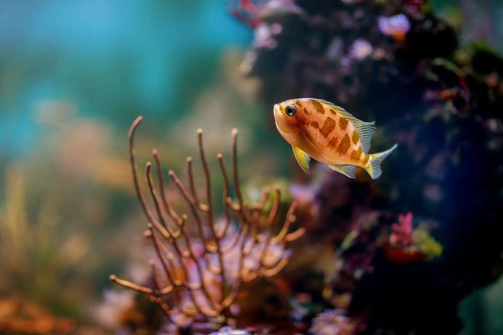 Photograph by Светлана Писарева