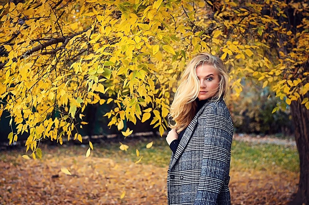 Краски осени