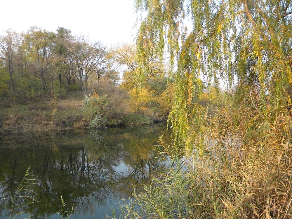 Утренняя тишина