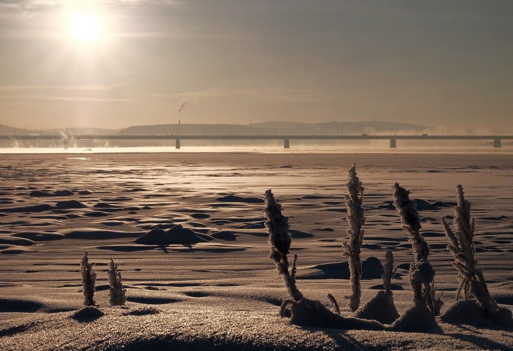 Февральское солнце.