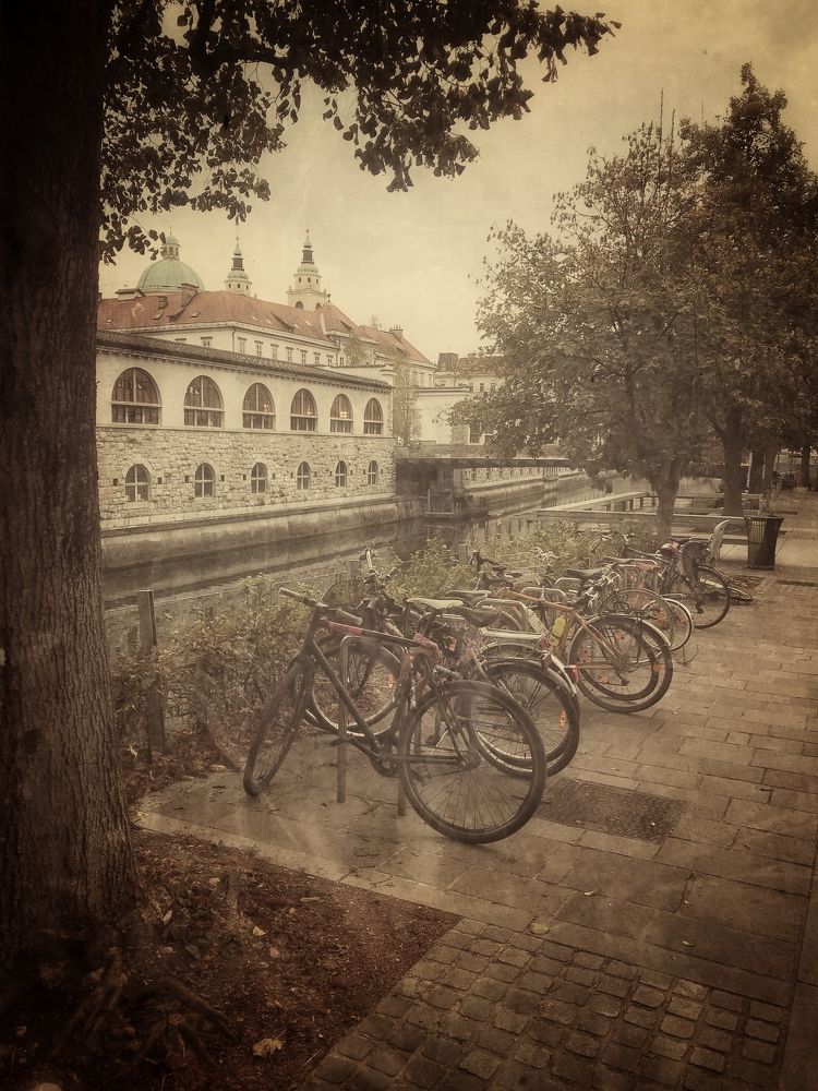 На улицах Любляны