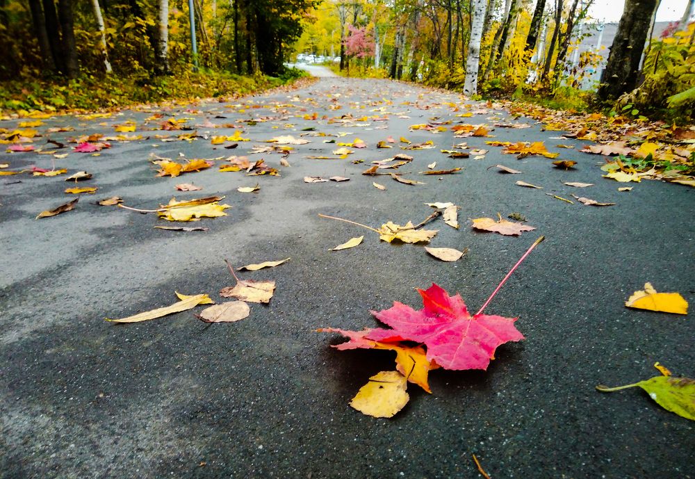 Осеннее настроение