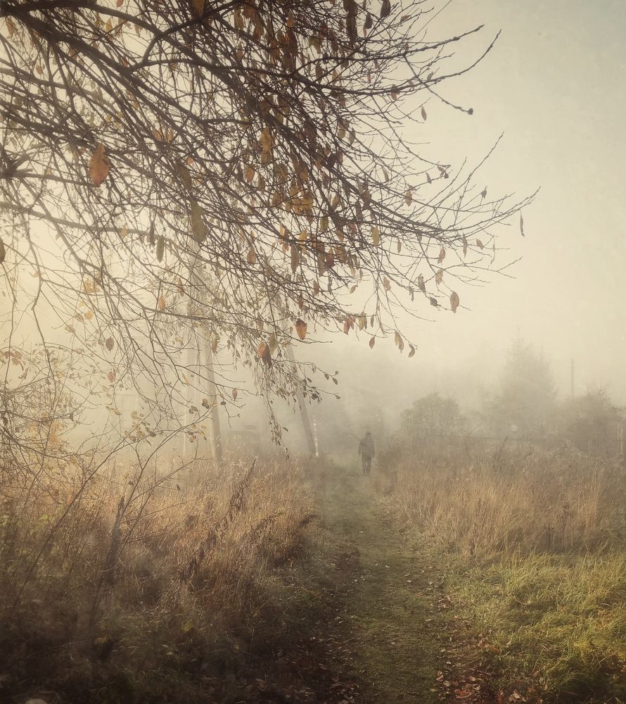 В густом тумане