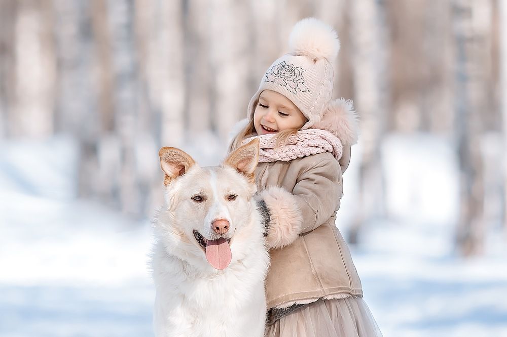 Фотография автора Анна Крутицкая