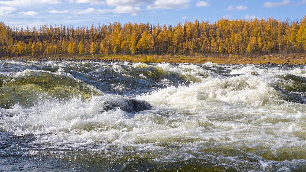 Река Северная. Туруханский край.