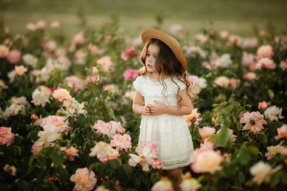 Кто  живет в розарии