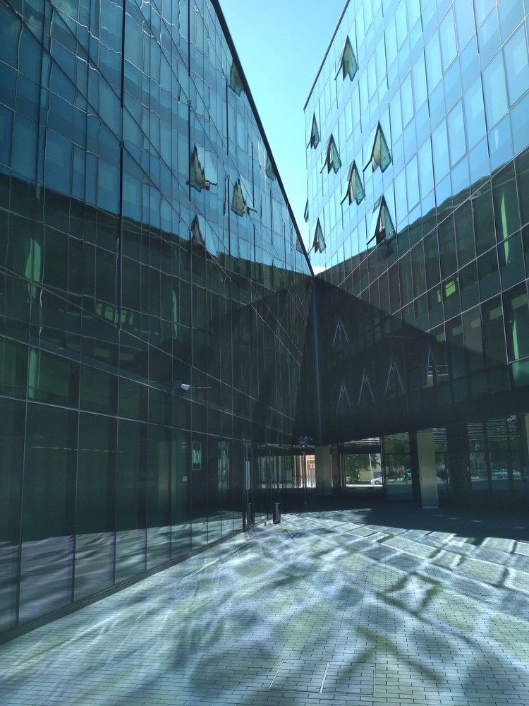 отражение действительности