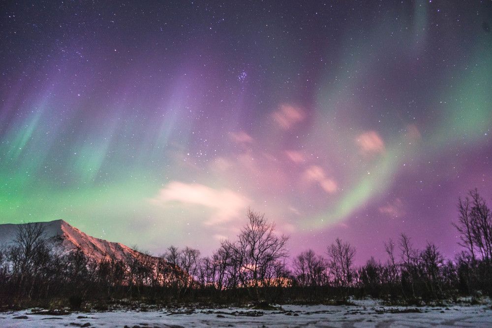 Краски севера