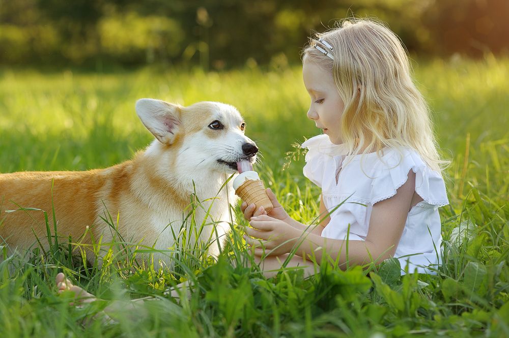 Одно на двоих мороженое