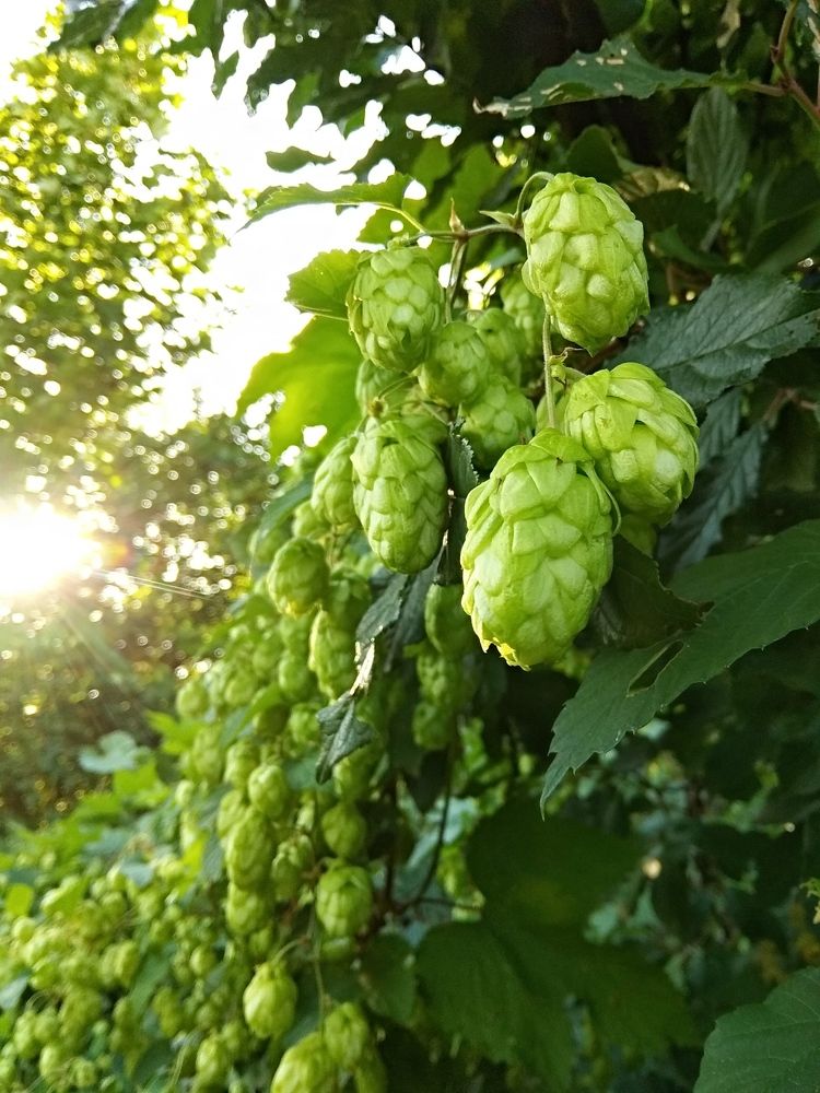 Photograph by Игорь Улитин