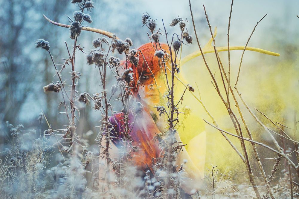 Шаманский сон