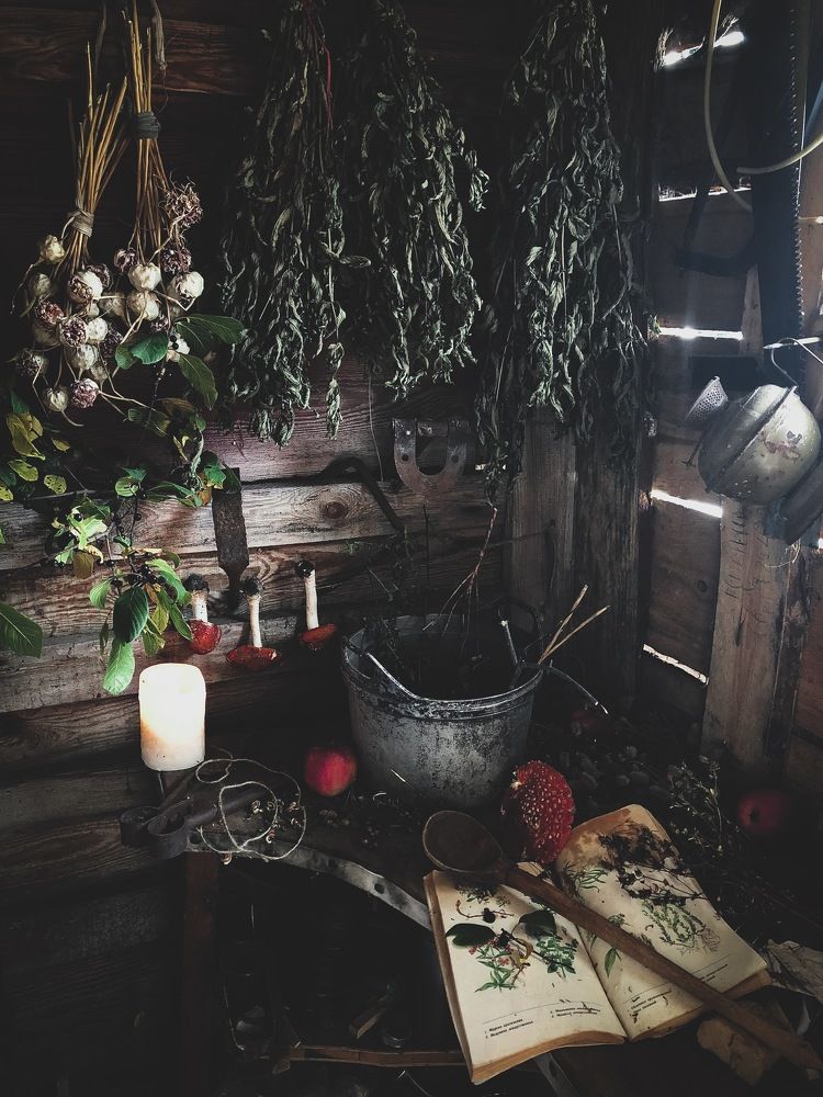 Суп из мухоморов