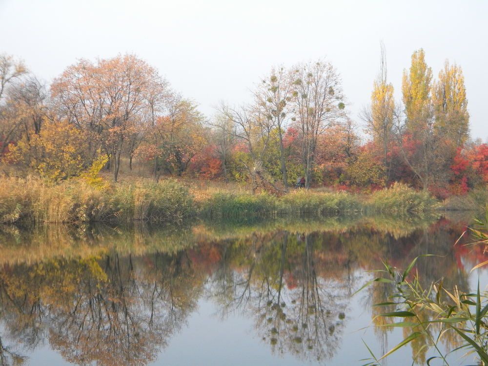 Яркая осень