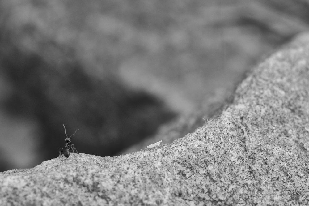 Small big world