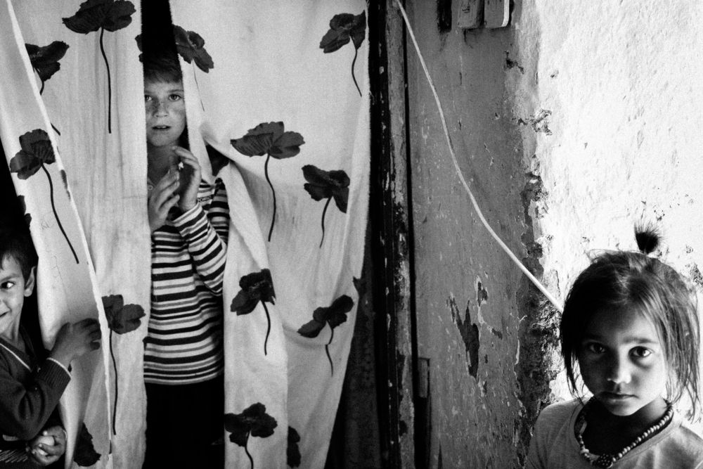 Photograph by Stela Patrulescu