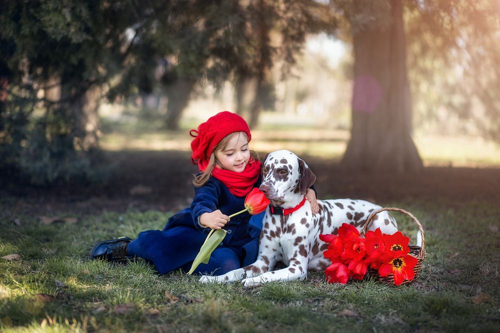 Photograph by Светлана Галкина
