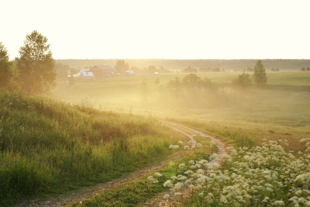 Утро в деревне