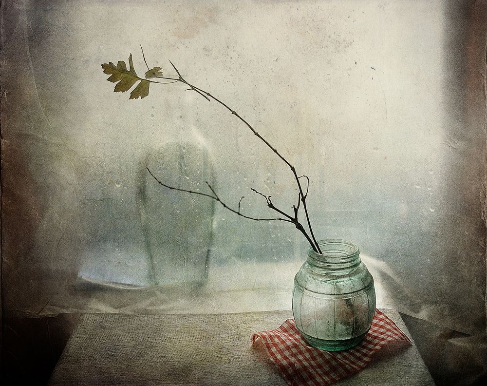 В ожидании весны..