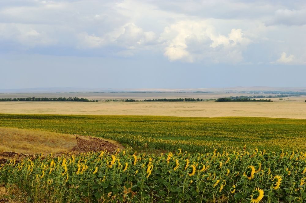 Оренбургские просторы.