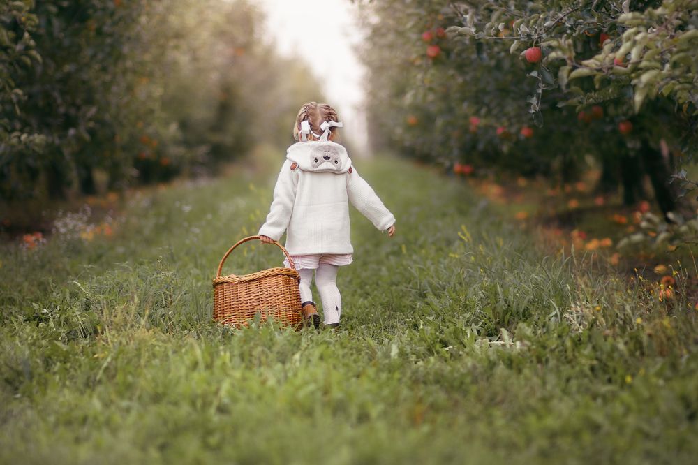 Сбор урожая