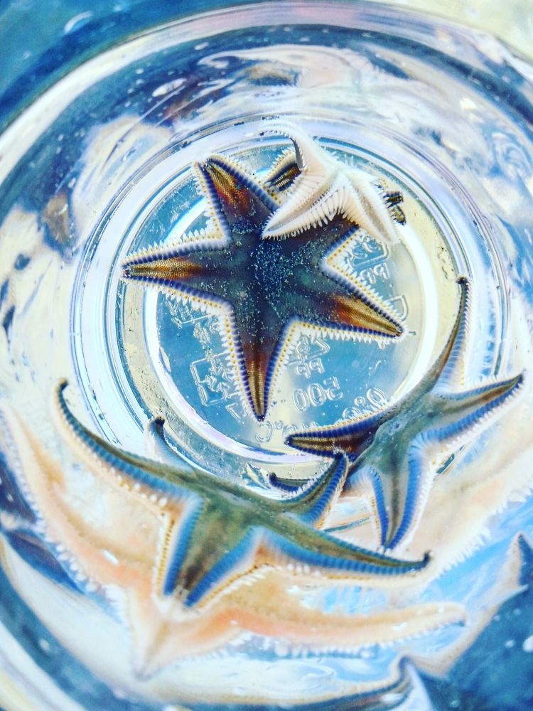 Звезды в шоке