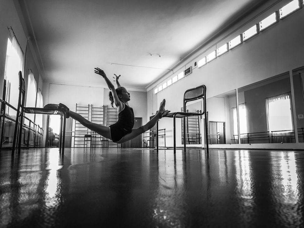 Лебедь (the Swan)