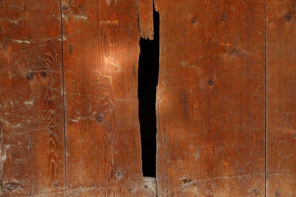 Photograph by Артём Голубятников