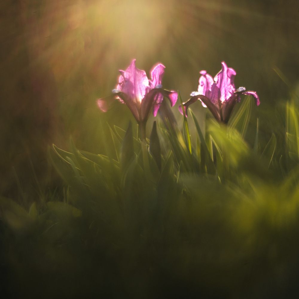 А в центре двое танцевали вальс ..,