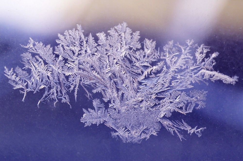 Šerkšnas ant lango